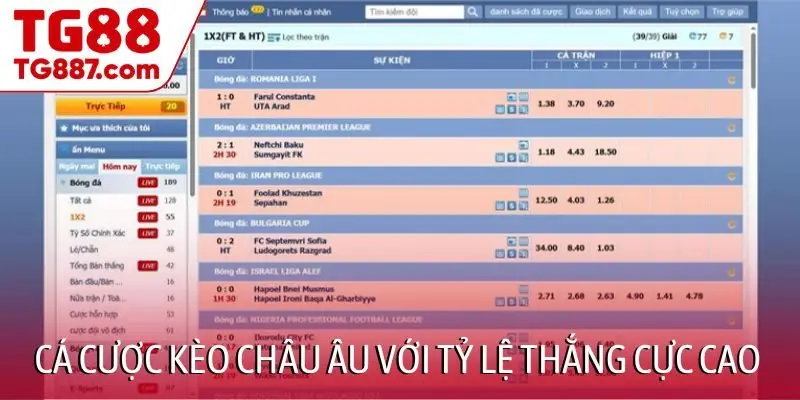 Cá cược kèo châu Âu với tỷ lệ thắng cực cao