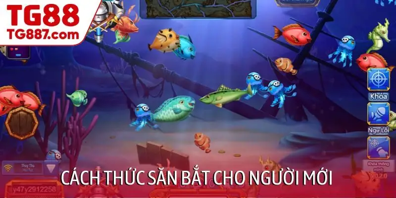 Cách thức săn bắt cho người mới