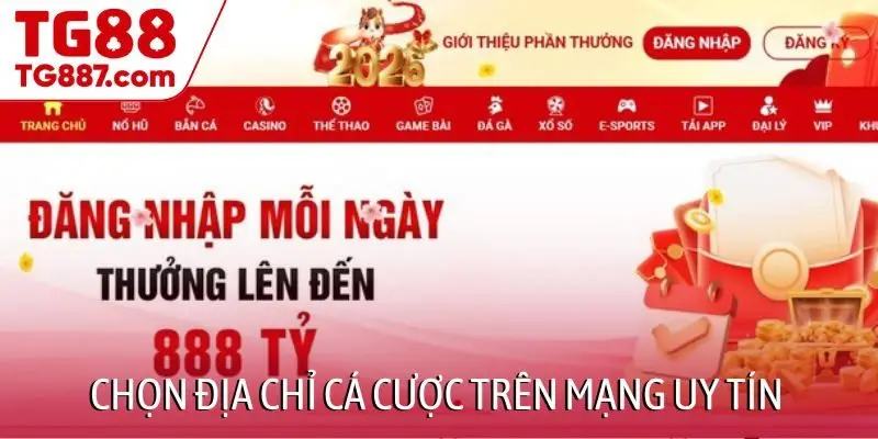 Chọn địa chỉ cá cược trên mạng uy tín để đảm bảo an toàn