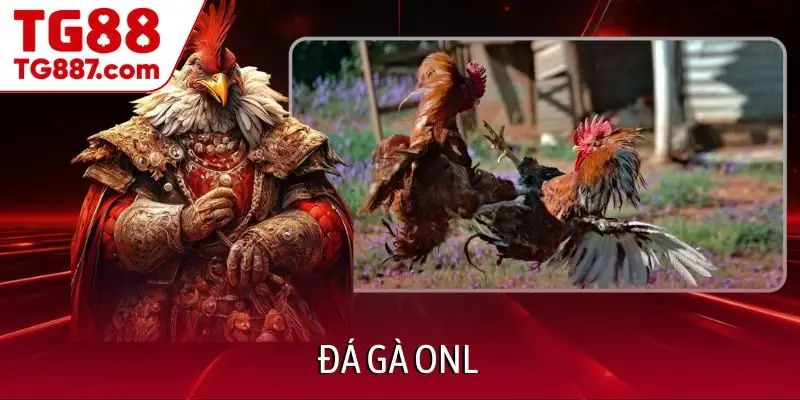 Đá gà onl