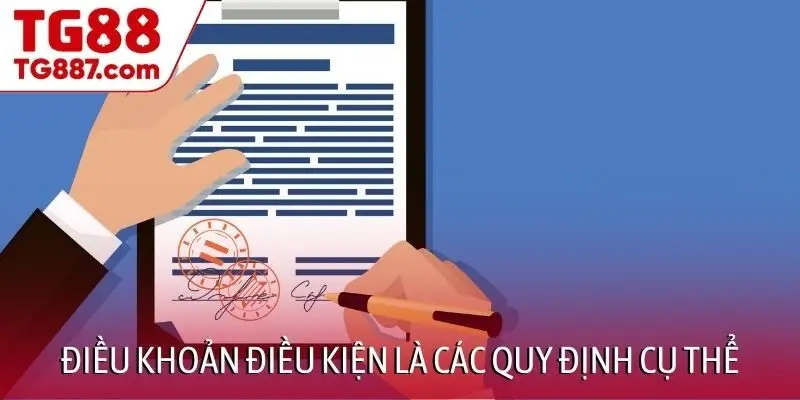 Điều khoản điều kiện là các quy định cụ thể