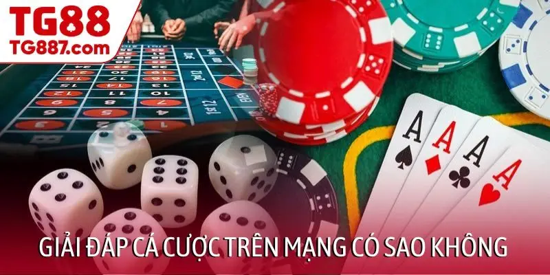 Giải đáp nhanh cá cược trên mạng có sao không