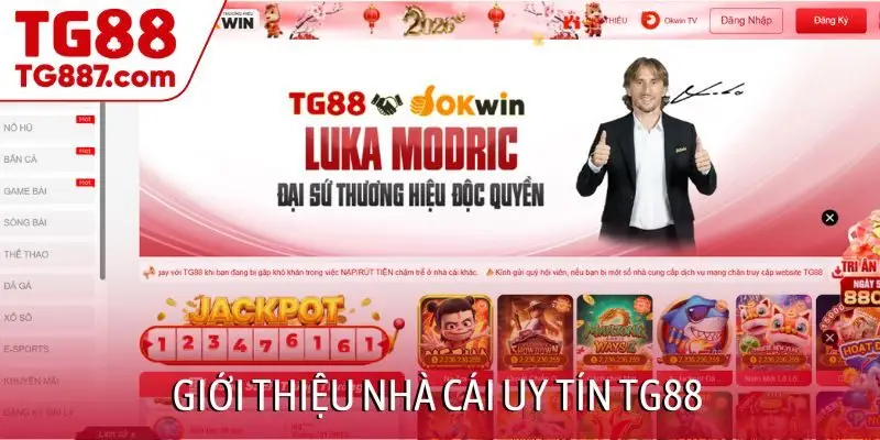 Giới thiệu nhà cái uy tín TG88