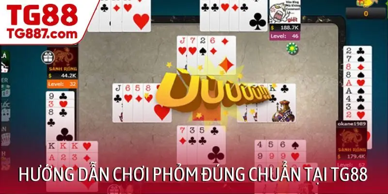 Hướng dẫn chơi Phỏm đúng chuẩn tại TG88