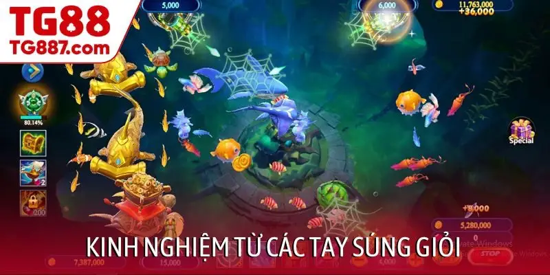 Kinh nghiệm bắn cá từ các tay súng giỏi