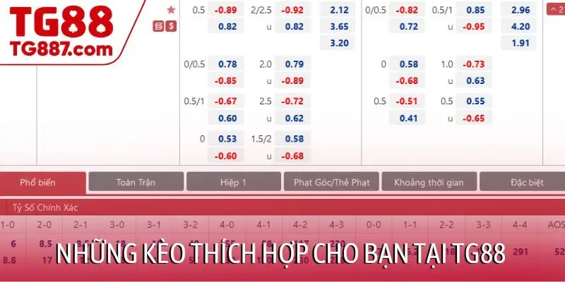 Những kèo thích hợp cho mọi người chơi tại TG88