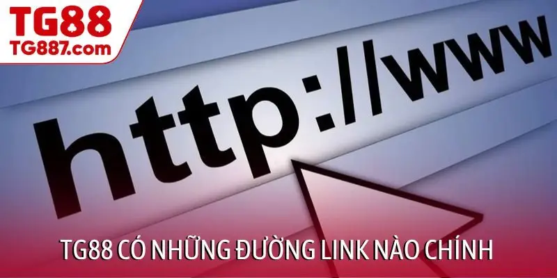 TG88 có những đường link nào chính