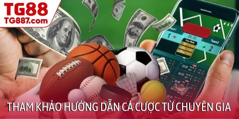 Tham khảo hướng dẫn cá cược từ chuyên gia TG88