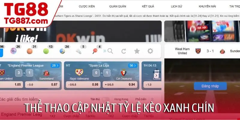 thể thao cập nhật tỷ lệ kèo xanh chín