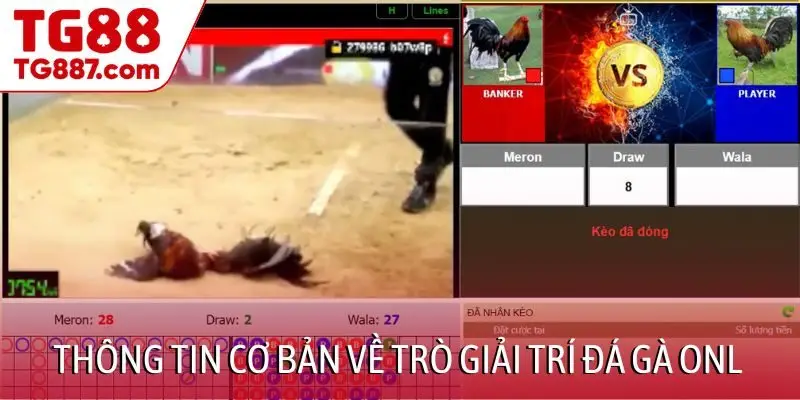 Thông tin cơ bản về trò giải trí đá gà onl