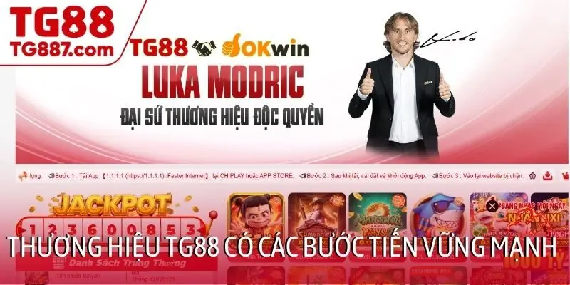 Thương hiệu TG88 có các bước tiến vững mạnh